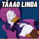 TAAAO LINDA