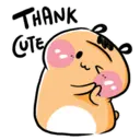THANK CUTE x