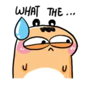 WHAT THE.CO ป U