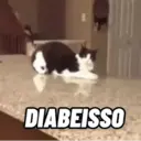 CATS 😸 8