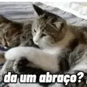 CATS 😸 9