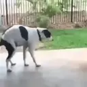 Memes Graciosos 6