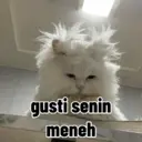 Kocheng lucu 1
