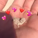 CLICA AQUI (te amo) 8