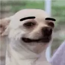Dog animated 8