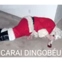 Natal chegando 2