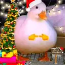 Natal chegando 11