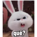 Bola de neve - pets 1