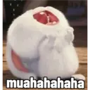 Bola de neve - pets 6