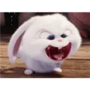 Bola de neve - pets 7