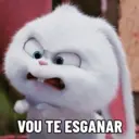 Bola de neve - pets 8