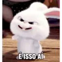 Bola de neve - pets 11