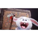 Bola de neve - pets 13
