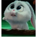 Bola de neve - pets 17