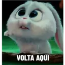 Bola de neve - pets 18