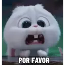 Bola de neve - pets 19