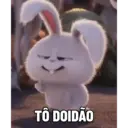 Bola de neve - pets 22