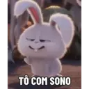 Bola de neve - pets 23