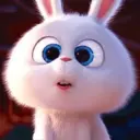 Bola de neve - pets 27