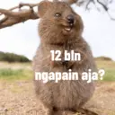 Gapapa 1
