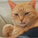 Gapapa 2