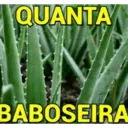 Indiretas e deboches 🤗 12