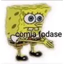Porra Giovanna 24