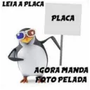 Porra Giovanna 30