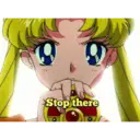 Sailormoonstickers 29