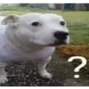 ?