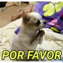 POR FAVOR
