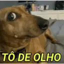 TÔ DE OLHO