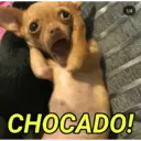 1/4
CHOCADO!