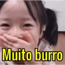 Muito burro
