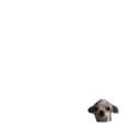ªªª 2