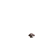 ªªª 3