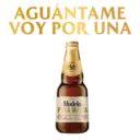Modelo Pura Malta 11