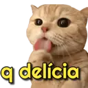 MELHORES REAÇÕES E EXPRESSÕES 2