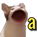 MELHORES REAÇÕES E EXPRESSÕES 6