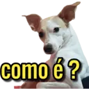MELHORES REAÇÕES E EXPRESSÕES 14