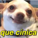 MEMES SINCEROS 1