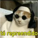 MEMES SINCEROS 2