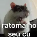 MEMES SINCEROS 11