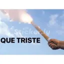 Juiz de futebol 30