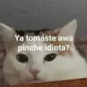 Memestickers 2 ⭐ 5