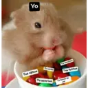 Memestickers 2 ⭐ 9