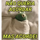 NÃO QUERIA ACORDAR Oseoglyu MAS ACORDEI