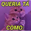 QUERIA TÁ COMO: