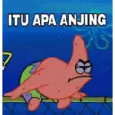 Jamet 8