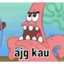 Jamet 9